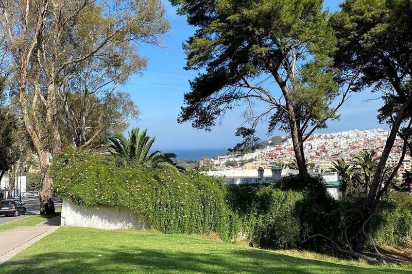 A coastal cityscape with a grassy area, trees, and a view of the ocean. 2
