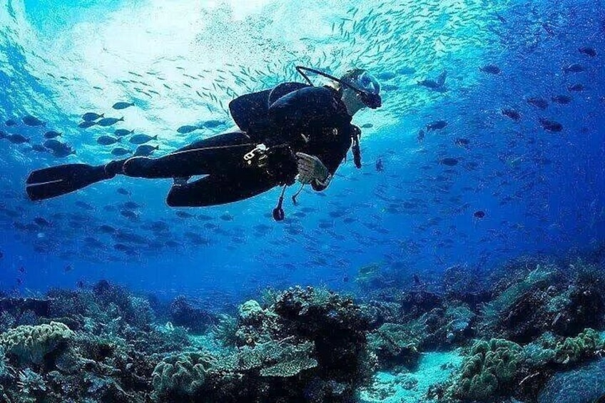 Ein Taucher unter Wasser vor einem Korallenriff und Fischen. 4