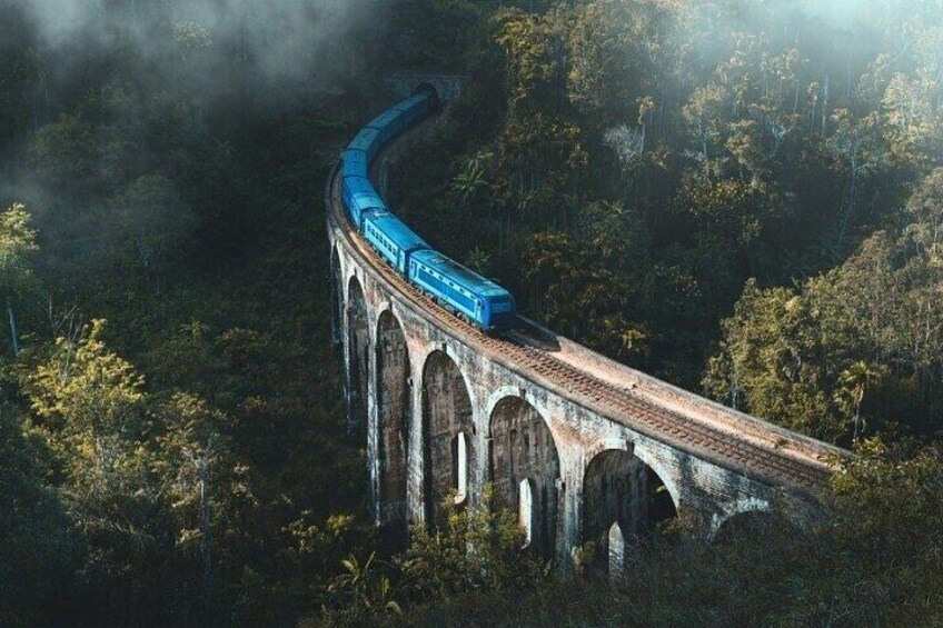 Un tren cruzando un puente rodeado de un bosque frondoso. 1