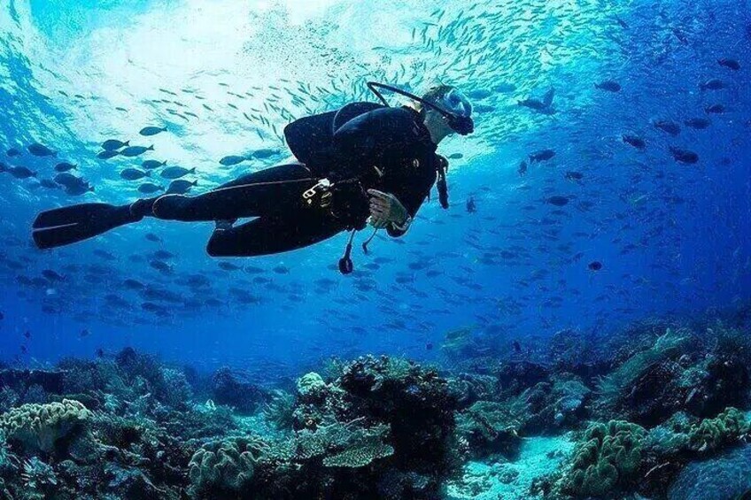 Un buzo sumergido con un arrecife de coral y peces de fondo. 4
