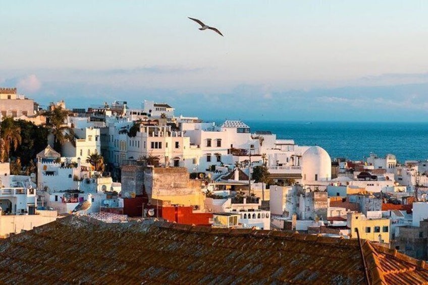 Une ville côtière aux bâtiments blancs, avec un oiseau qui vole et la mer en arrière-plan. 5