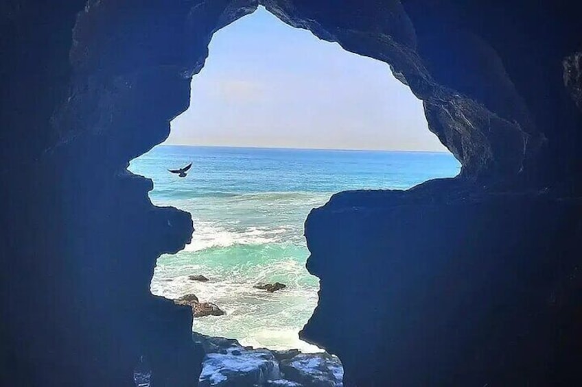 L’entrée d’une grotte s’ouvre sur une vue côtière, avec des vagues et un oiseau en vol. 1