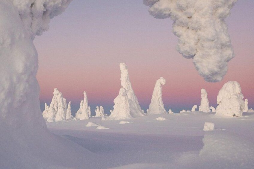 Un paysage enneigé, avec des arbres couverts de neige et un ciel dégagé. 5