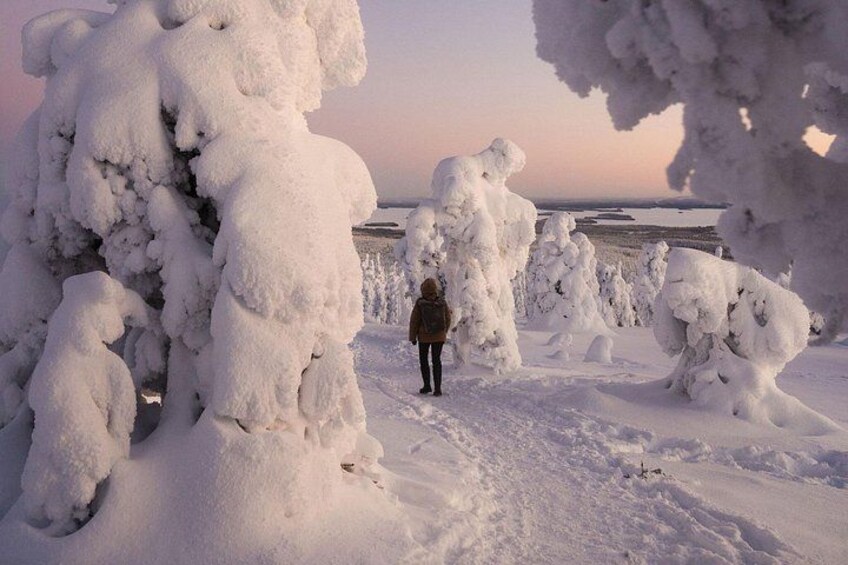 Une personne se tient debout dans un paysage enneigé, avec des arbres couverts de neige et une vue lointaine sur une étendue d’eau. 4
