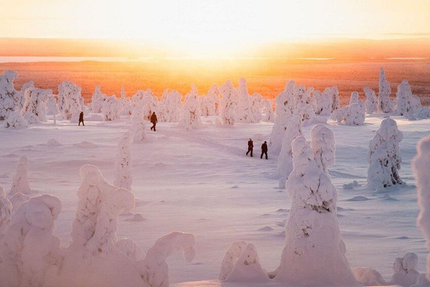 Un paysage enneigé, avec des arbres couverts de neige et un coucher de soleil en arrière-plan. 2