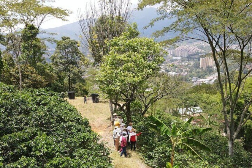 Un gruppo di persone che fa escursione su un sentiero immerso nel verde e tra alberi. 1