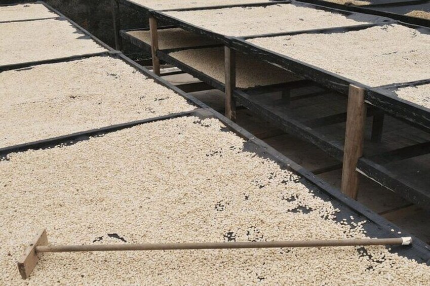 Diverse strutture in legno riempite di ghiaia. 3