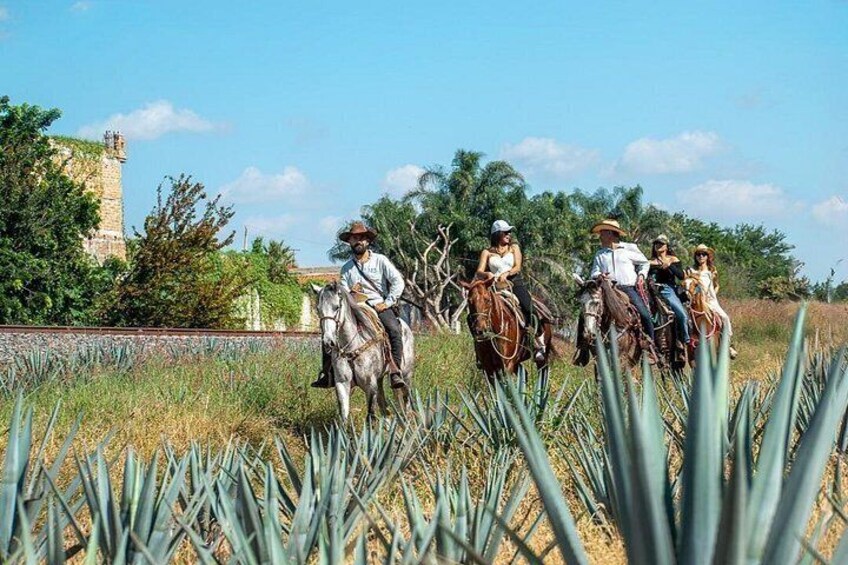 A group of people on horseback in a field with agave plants and a historical tower in the background. 5