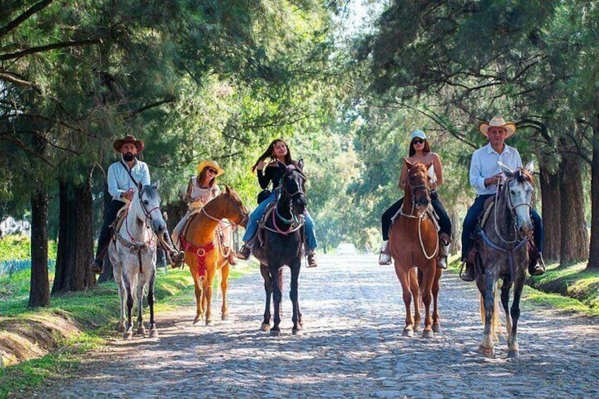 A group of people riding horses on a cobblestone path surrounded by trees. 4