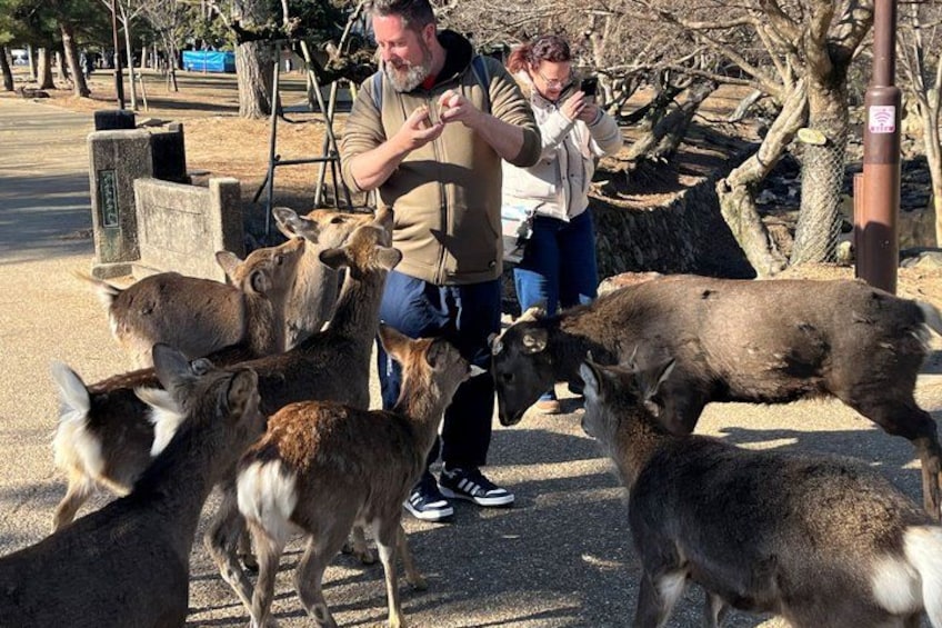 From Kyoto: Nara & Kyoto World Heritage 1-Day Bus Tour 5