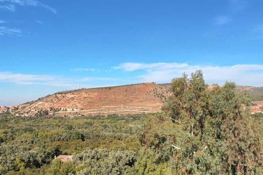 Paesaggio collinare con vegetazione fitta e un piccolo insediamento nella valle. 4