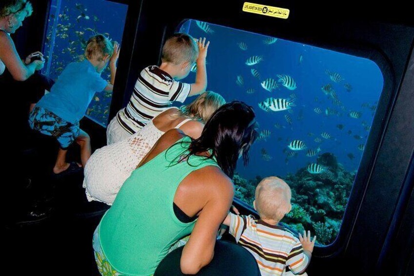 Personas observando peces a través de una ventana de acuario. 4