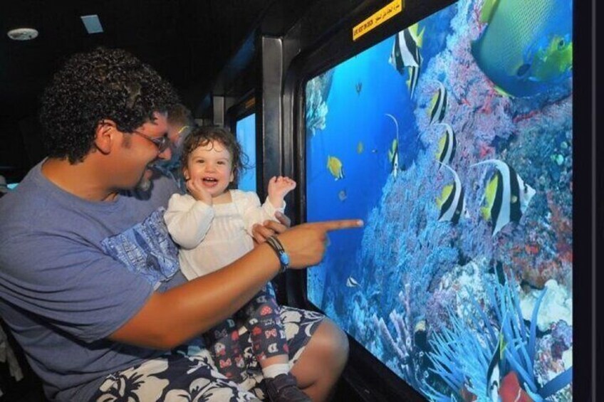 Una persona señalando un gran acuario con diversos peces. 3