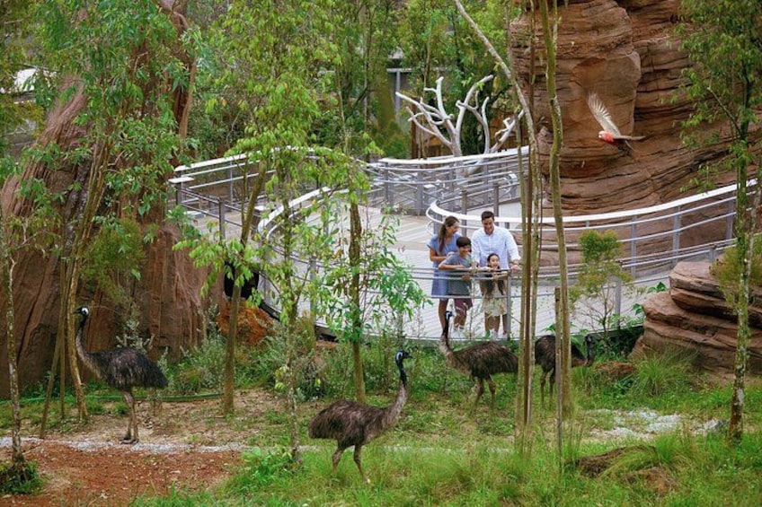 Singapore Bird Paradise Tickets 5