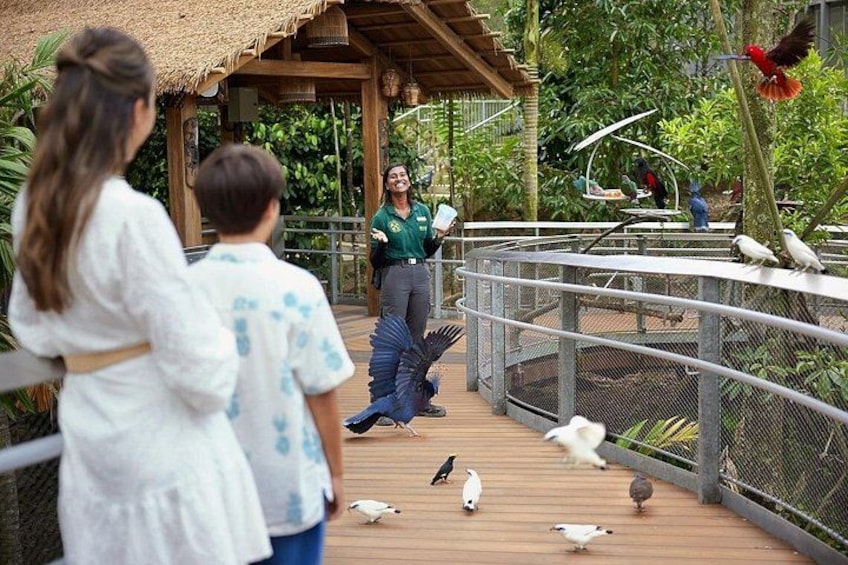 Singapore Bird Paradise Tickets 4