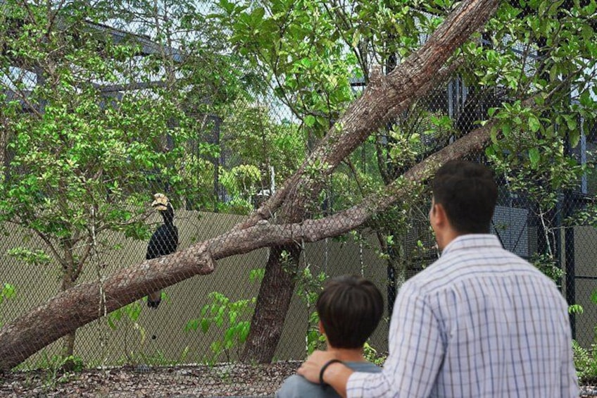 Singapore Bird Paradise Tickets 2