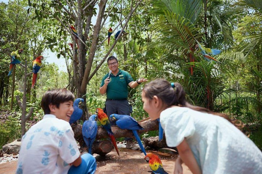 Singapore Bird Paradise Tickets 1