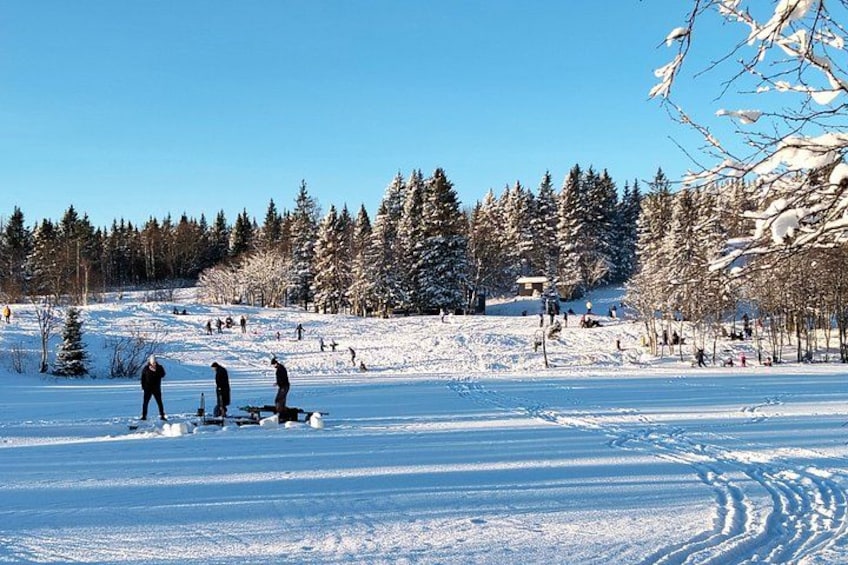 A snowy landscape with people skiing and snowshoeing. 4