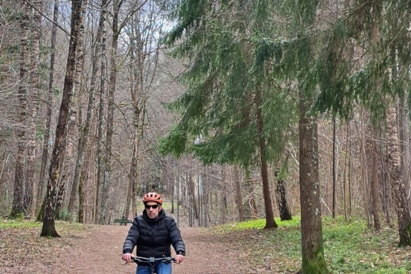 A person on a bicycle in a forested area with tall trees and a dirt path. 5