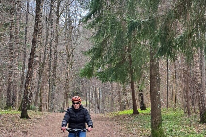 A person on a bicycle in a forested area with tall trees and a dirt path. 3