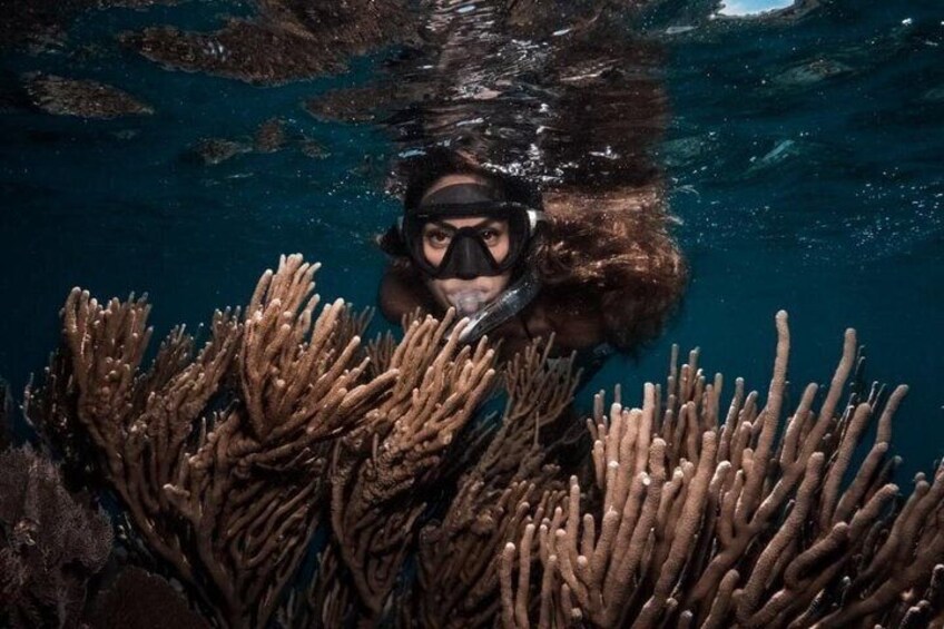Roatan Private and Public Snorkel Tours at West Bay Beach 1