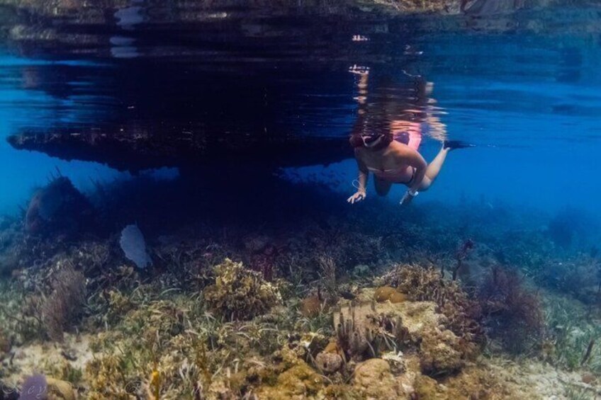 Roatan Private and Public Snorkel Tours at West Bay Beach 3