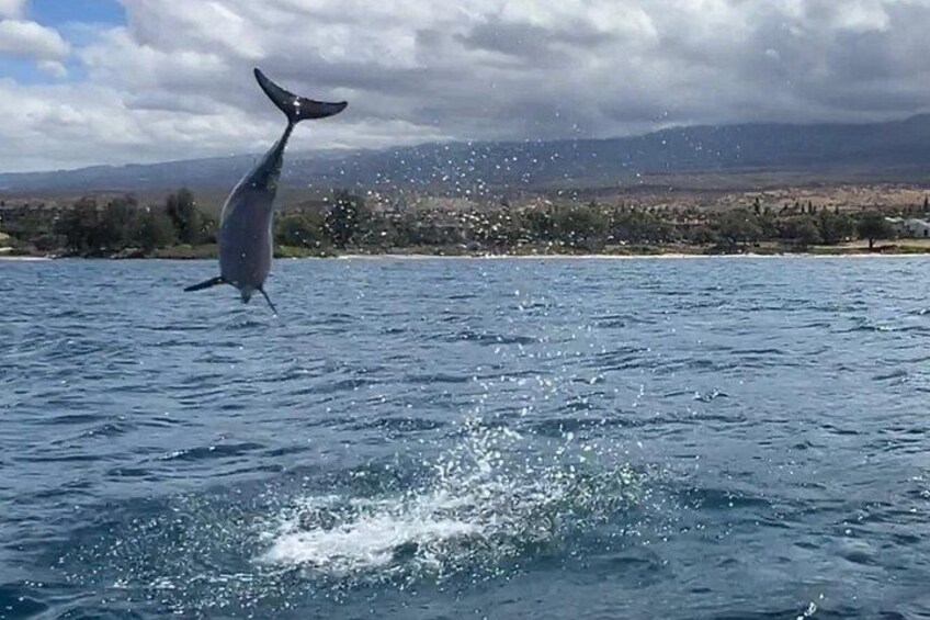 A whale breaching the water with a splash, a clear sky, and a distant landscape with mountains. 3