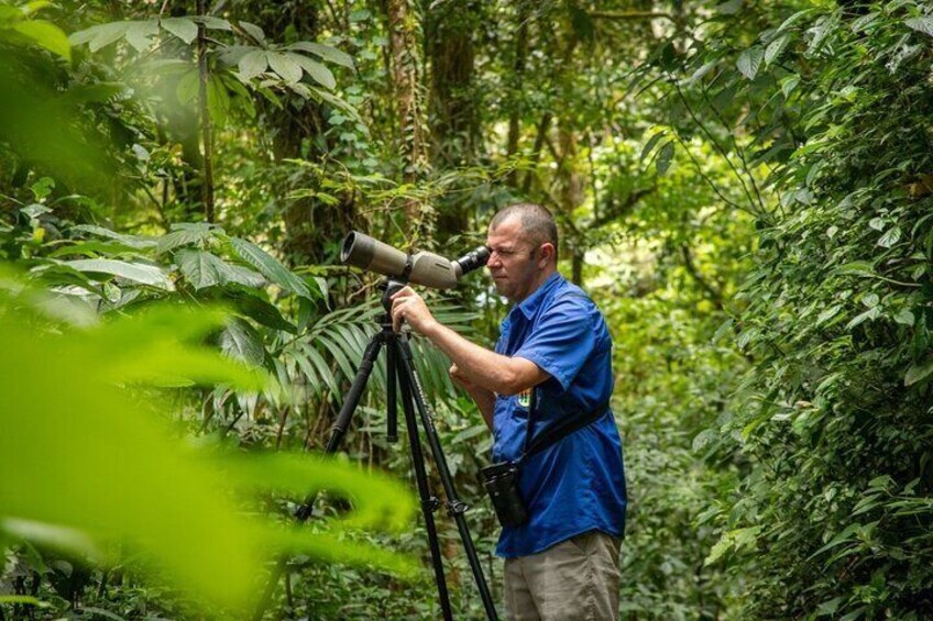 A person using a telescope in a dense forest. 4