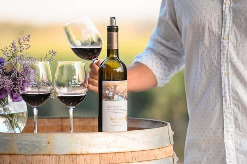 Wine and Distillates : Luján de Cuyo with Gourmet Lunch 3