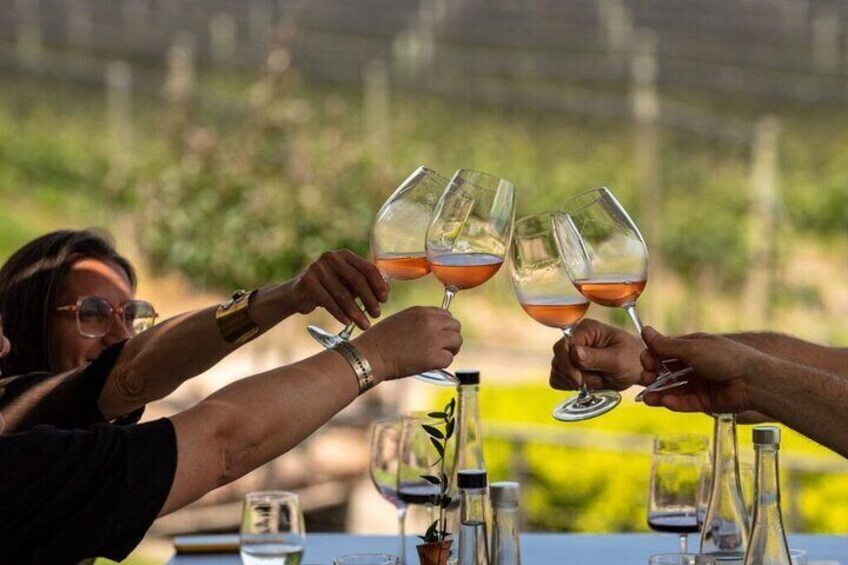 Wine and Distillates : Luján de Cuyo with Gourmet Lunch 4