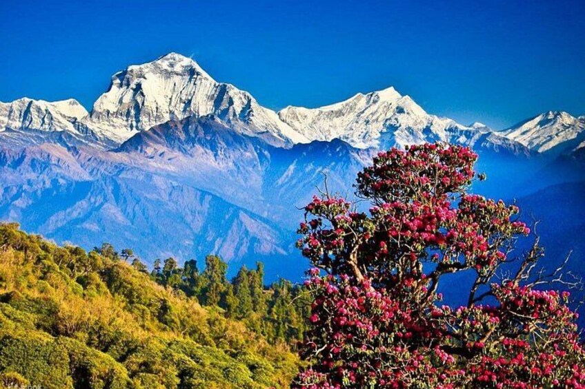 Nagarkot Sunrise Tour with Himalayan Views from Kathmandu 5