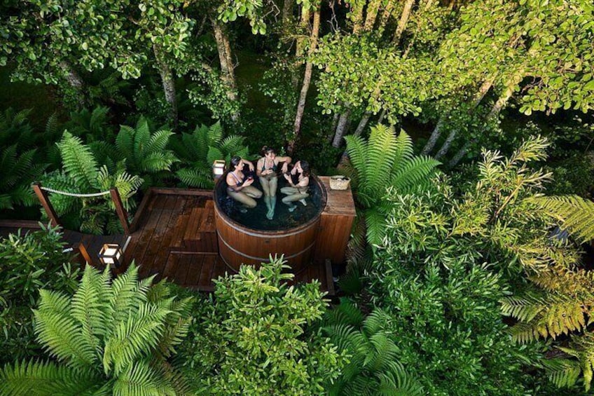 Un jacuzzi rodeado de vegetación exuberante y helechos. 2