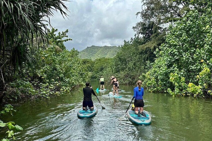 People paddleboarding on a river surrounded by lush greenery. 4