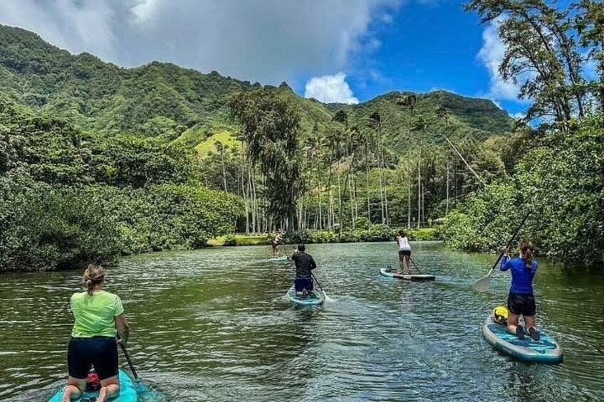 Three people paddleboarding on a river surrounded by lush greenery and hills. 5