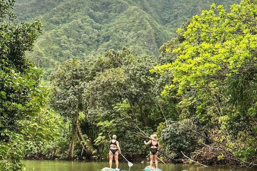Two people paddleboarding on a calm river surrounded by dense forest. 2