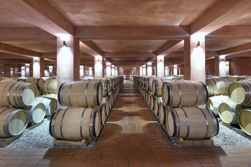 A wine cellar with rows of wooden barrels. 2