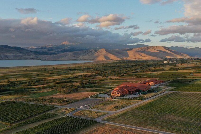 A vineyard with rows of grapevines, a red building, and mountains in the background. 4