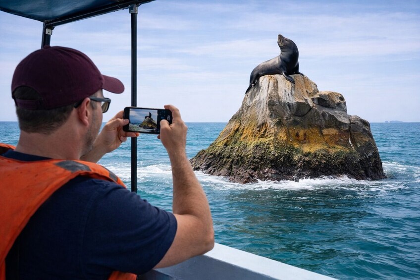 A person taking a photo of a seal on a rocky outcrop in the ocean. 3