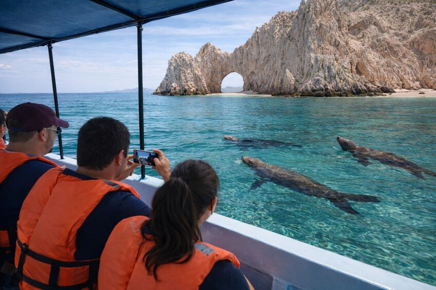 A boat tour with tourists observing marine life in clear waters near rocky cliffs. 5