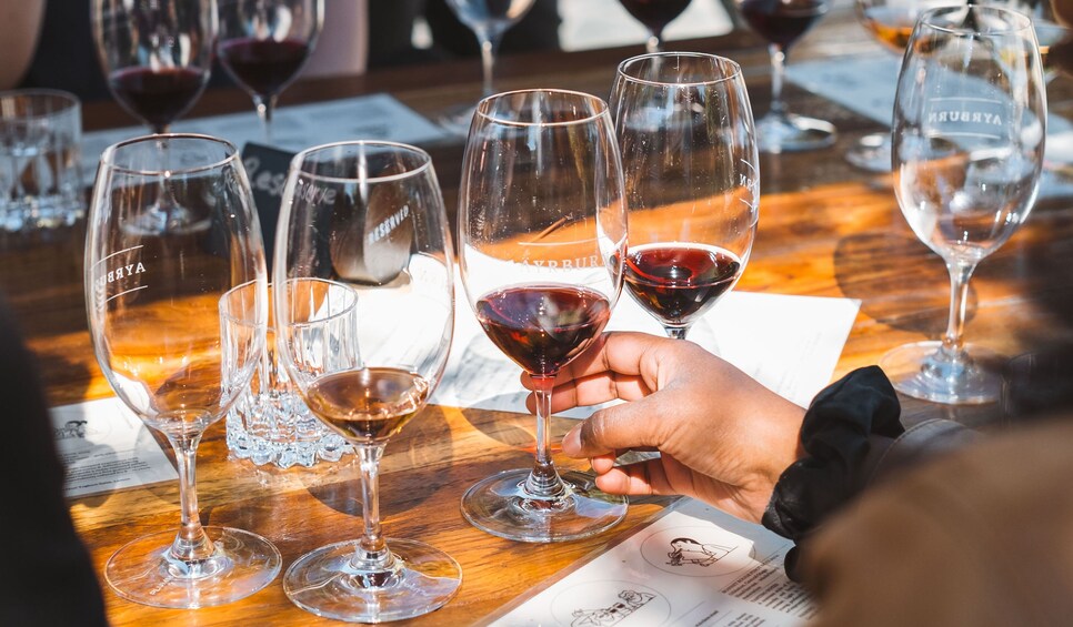 Queenstown Wine Sampler Tour 2