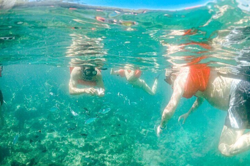 Menschen schnorcheln in klarem Wasser. 2