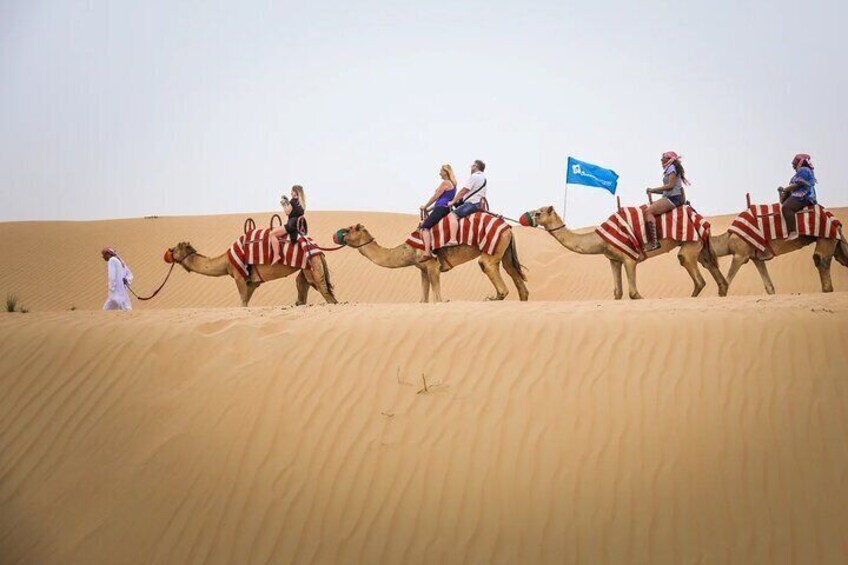 A group of camels with riders in a desert landscape. 3