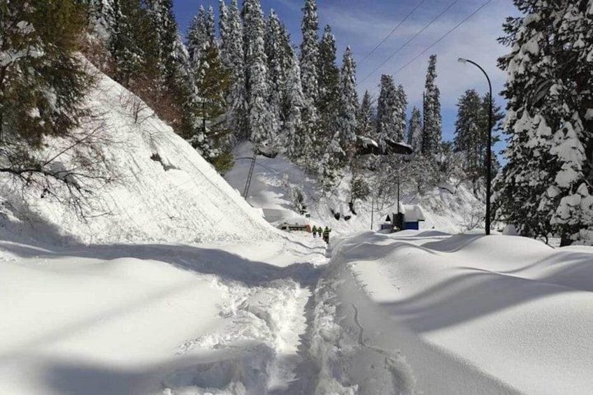 A snow-covered ski slope with trees and a clear sky. 1