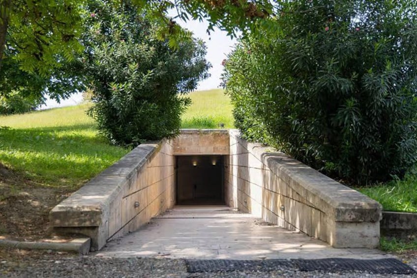 A concrete tunnel entrance surrounded by greenery. 4