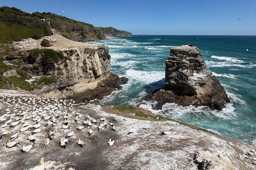 A rocky coastline with waves crashing against the shore, a cliff with vegetation, and a large rock formation. 1