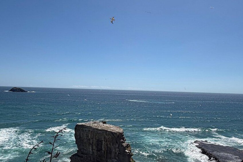 A rocky coastline with waves crashing against the rocks, a clear blue sky, and a distant island. 4