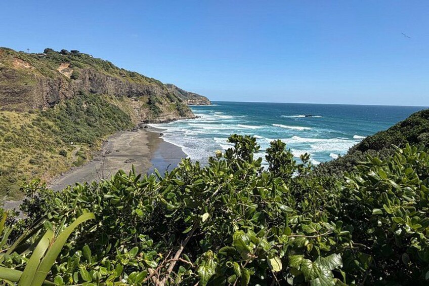 A coastal landscape with a beach, ocean waves, and green vegetation. 3
