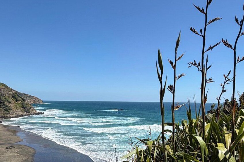 A beach with waves, a clear sky, and tall plants in the foreground. 2