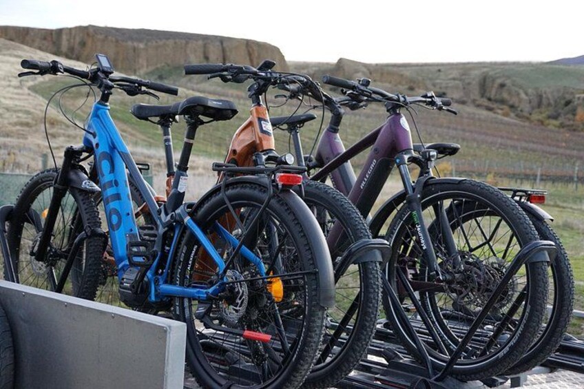 Premium eBike fleet 2