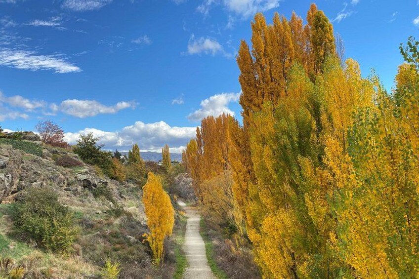 Rail Trail in autumn 1